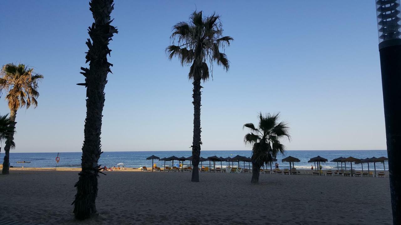 Jardin Del Mar Apartment Torrevieja Bagian luar foto